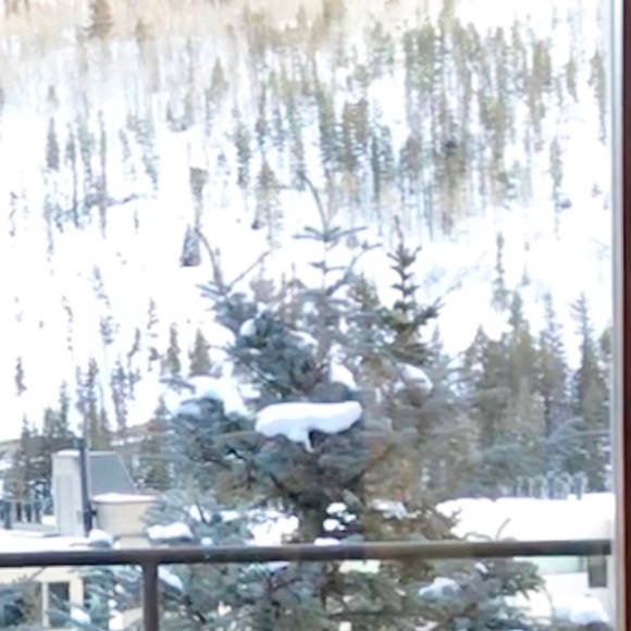 Meet your Posher, L - Picture 1 of 1